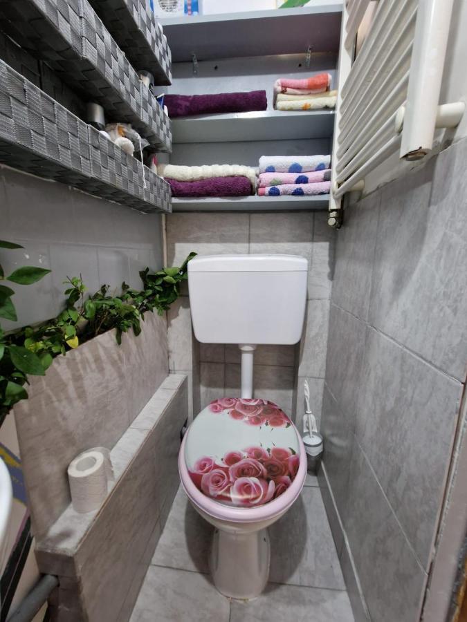 Apartament Ultracentral 2 Piata Muzeului Cluj-Napoca Esterno foto