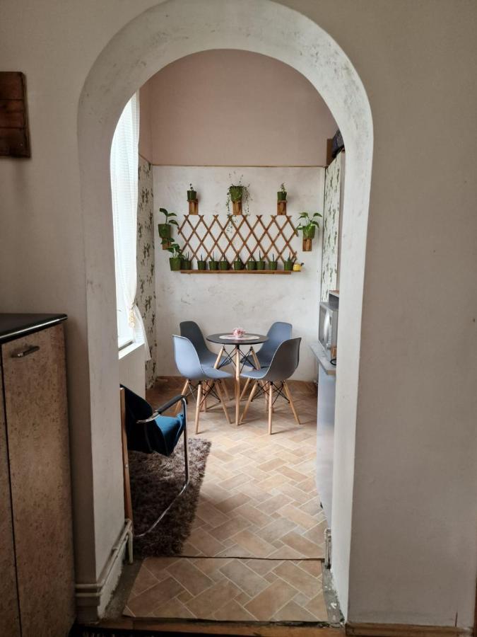 Apartament Ultracentral 2 Piata Muzeului Cluj-Napoca Esterno foto