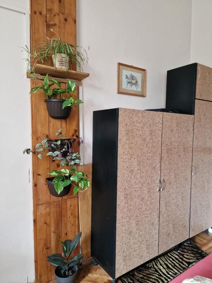 Apartament Ultracentral 2 Piata Muzeului Cluj-Napoca Esterno foto